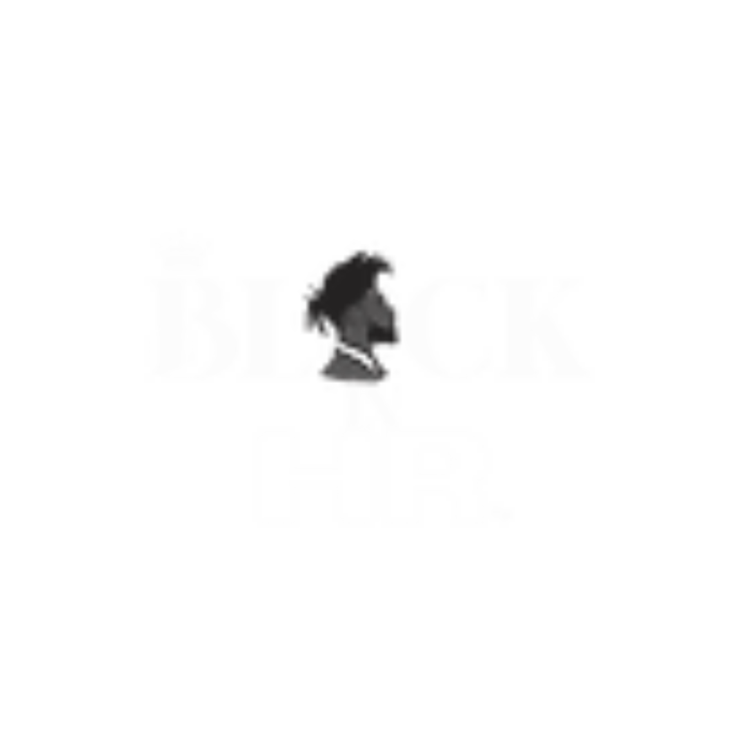 Black in HR #GCHRA24 Partner